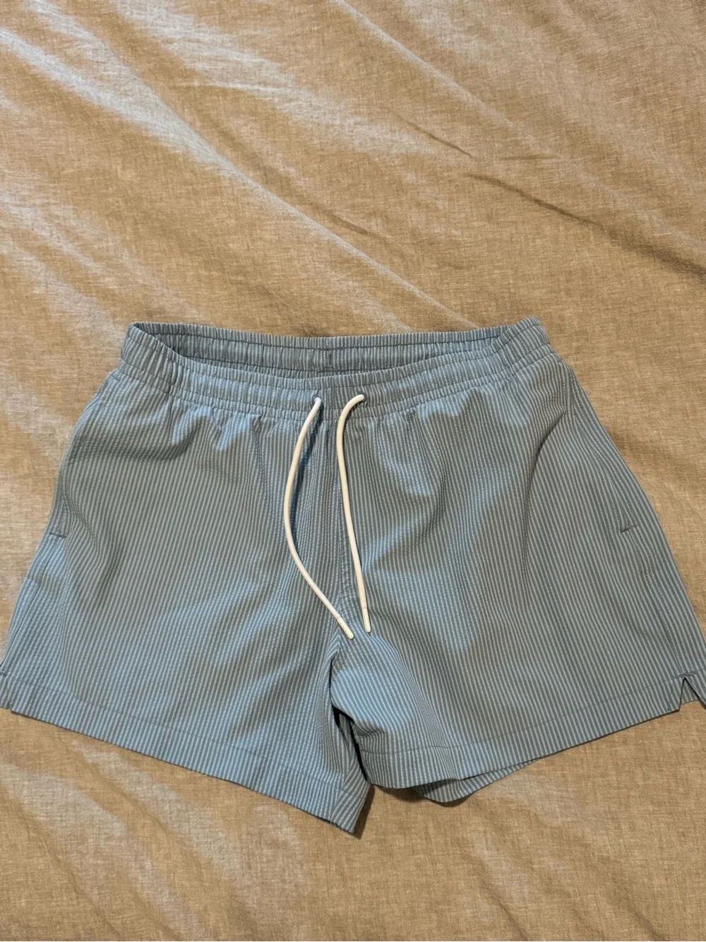 Abercrombie & Fitch Blue Pull-on Swim Shorts